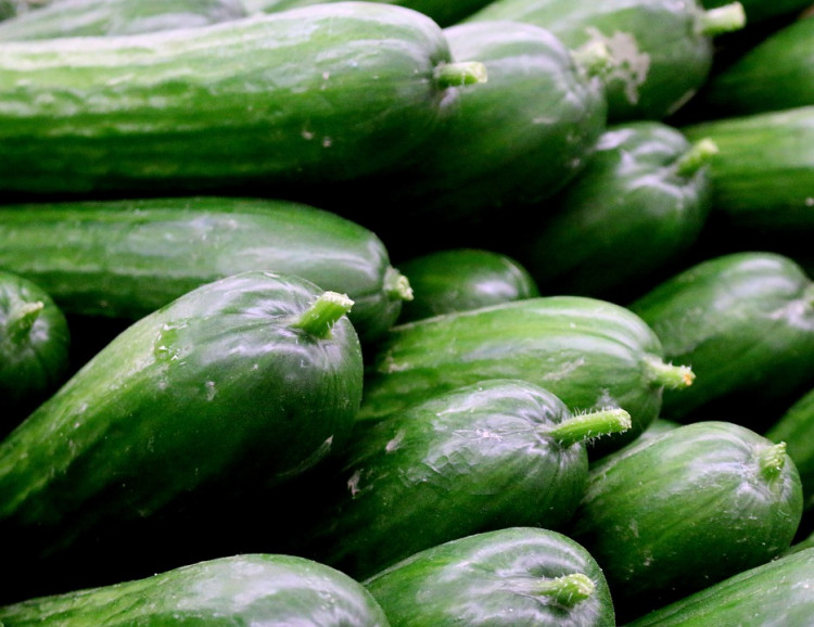 Cucumber Recall Triggers Health Concerns Amid Ongoing Salmonella Outbreak