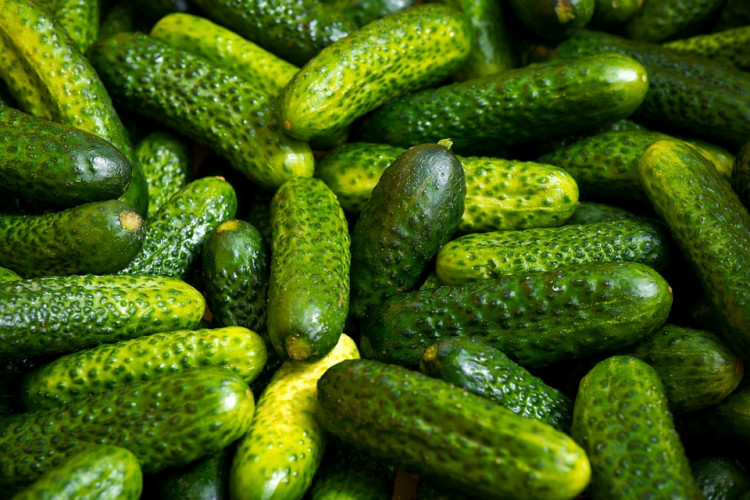 Salmonella Outbreak Linked to Cucumbers Sickens Over 150 Across U.S.