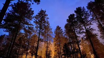 Wildfires Force New Mexico Village to Evacuate as Twin Blazes Threaten Thousands
