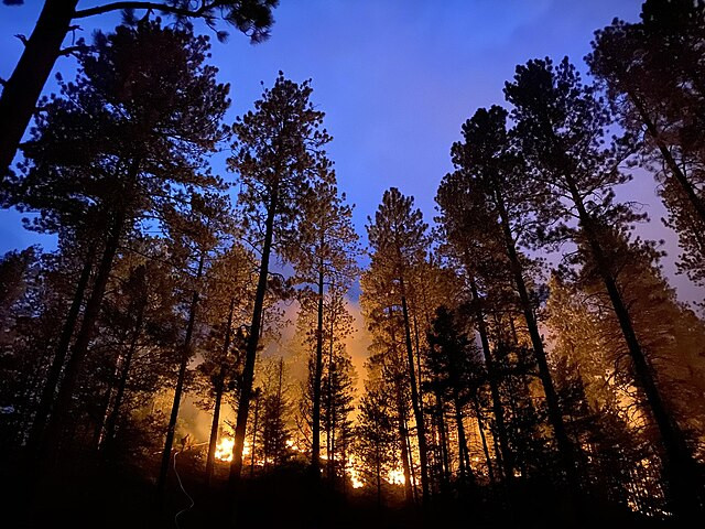 Wildfires Force New Mexico Village to Evacuate as Twin Blazes Threaten Thousands