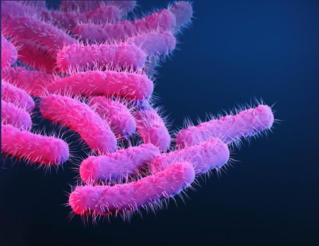 Shigella Outbreak Spreads in San Jose Homeless Encampments