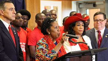 Sheila Jackson Lee, Pioneering Congresswoman and Champion of Civil Rights, Dies at 74
