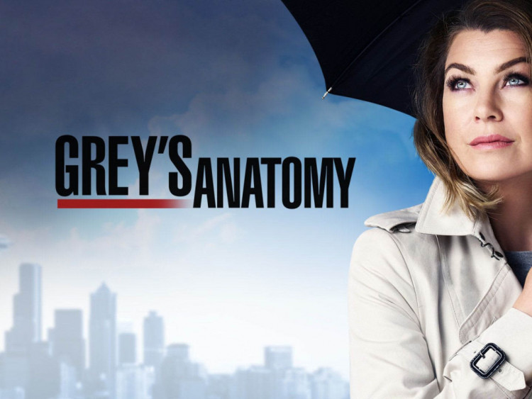 ellen-pompeo-returns-greys-anatomy