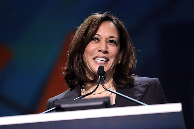 Harris Faces Bipartisan Rebuke for Immigration Policies