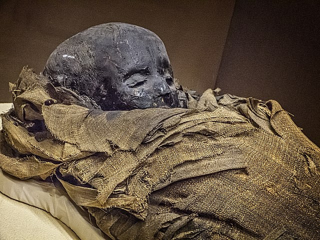 Egyptian 'Screaming Woman' Mummy Reveals Agonizing Death Through Advanced Scans, New Study Suggests