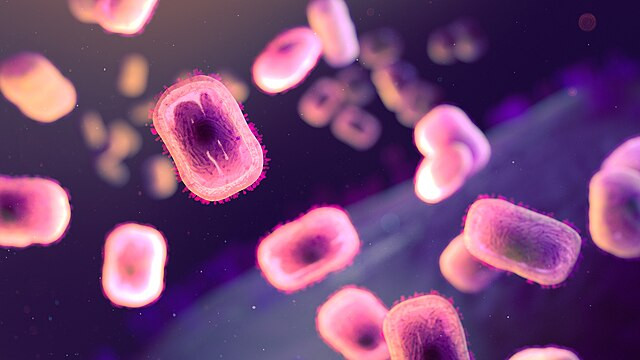 CDC Issues Alert on New Deadly Strain of Mpox Spreading in Africa