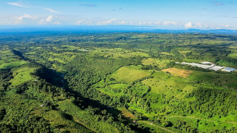 Panama Dismantles Smuggling Network Amid Surge of Chinese Migrants Through Treacherous Darien Gap