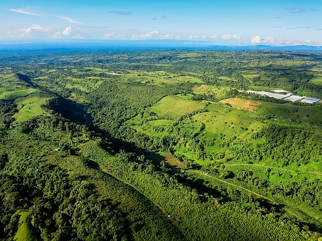 Panama Dismantles Smuggling Network Amid Surge of Chinese Migrants Through Treacherous Darien Gap