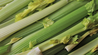 DEA Seizes Record 2,300 Pounds of Meth Concealed in Celery at Georgia Market