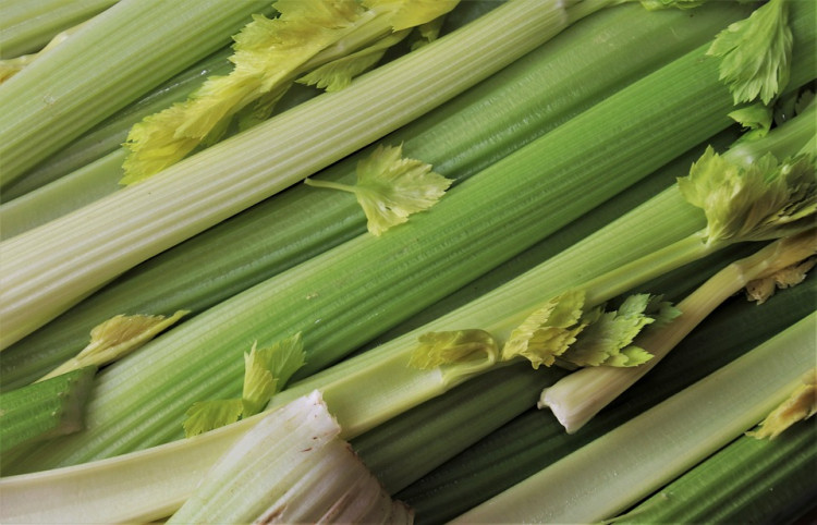 DEA Seizes Record 2,300 Pounds of Meth Concealed in Celery at Georgia Market