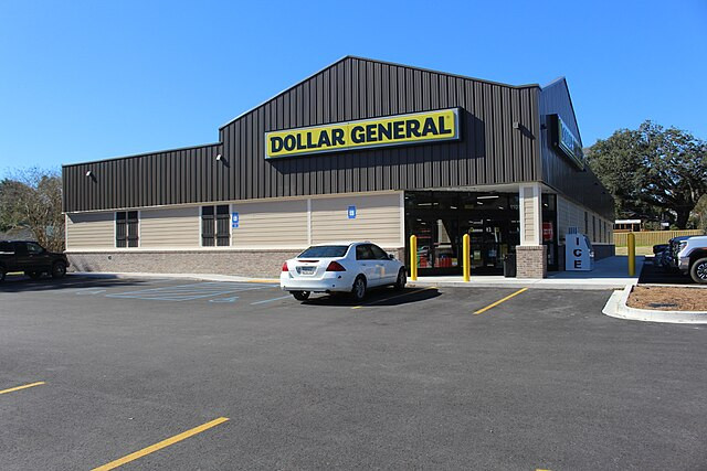 Dollar General Stock Plummets 32% Amidst Struggling Consumer Base and Operational Issues
