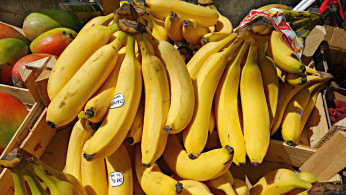 U.S. Ports Face Shutdown Crisis as 45,000 Dockworkers Threaten Strike, Disrupting Fruit Supply