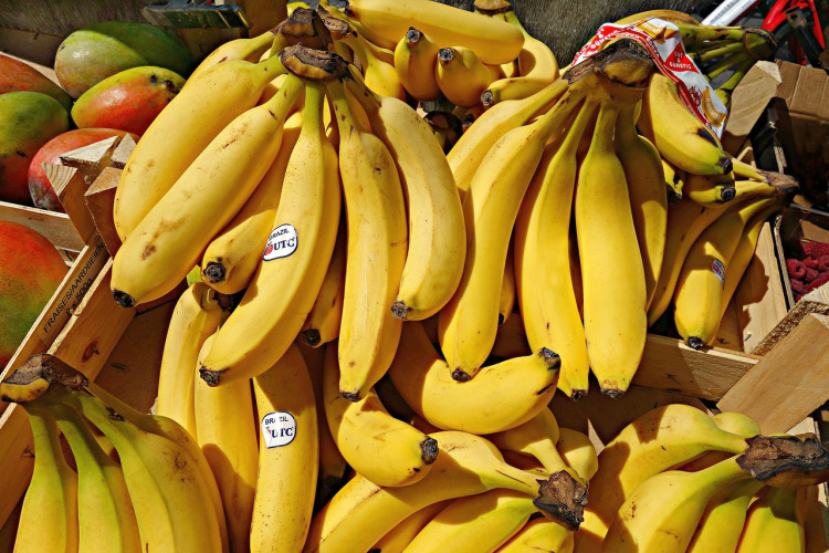 U.S. Ports Face Shutdown Crisis as 45,000 Dockworkers Threaten Strike, Disrupting Fruit Supply