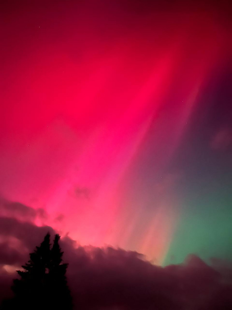 Photos Northern Lights Shine Over Eastern U.S. Amid Rare Solar Storm