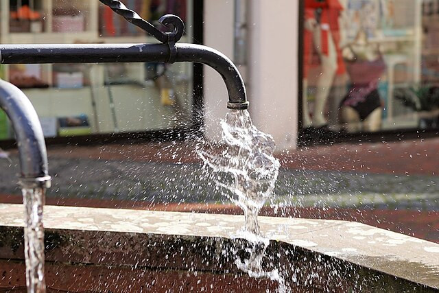 Global Water Crisis Threatens Half of World’s Food Supply, Report Finds