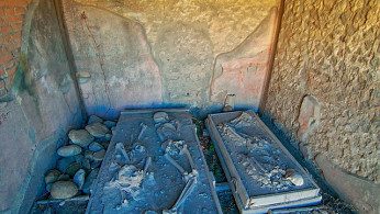 DNA Analysis Reveals Surprising Truths About Pompeii Victims' Identities and Lives