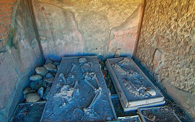 DNA Analysis Reveals Surprising Truths About Pompeii Victims' Identities and Lives
