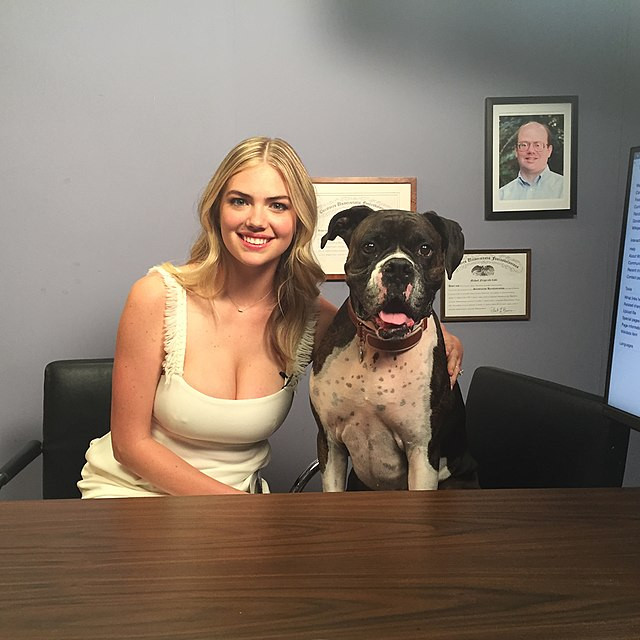 Kate Upton Raises Alarms with Cryptic Instagram Message on Disturbing Scenario