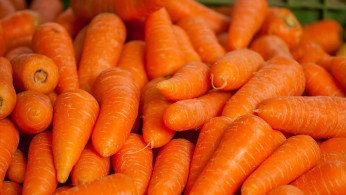 Deadly E. Coli Outbreak Linked to Organic Carrots Hits 18 States