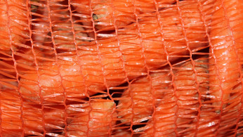 Deadly E. Coli Outbreak Prompts Nationwide Recall of Carrots Sold at Major Retailers
