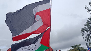 Historic Protest Erupts Over New Zealand's Māori Rights Bill