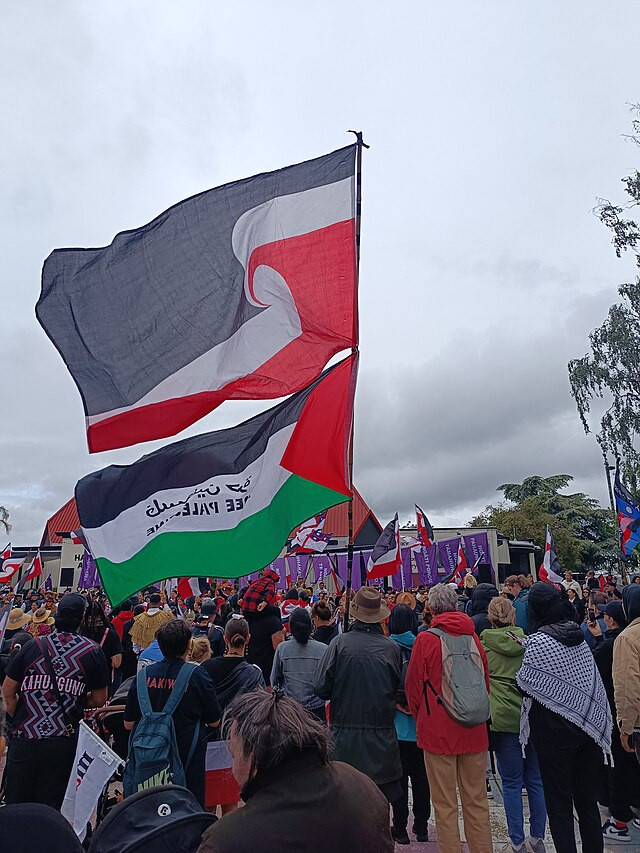 Historic Protest Erupts Over New Zealand's Māori Rights Bill