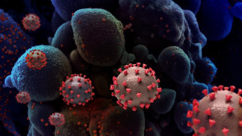 U.S. Congressional Report Backs Lab-Leak Theory for COVID-19 Origins