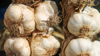 China Pushes Back as U.S. Senator Rick Scott Condemns 'Sewage Garlic' Imports