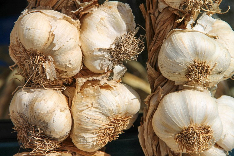 China Pushes Back as U.S. Senator Rick Scott Condemns 'Sewage Garlic' Imports