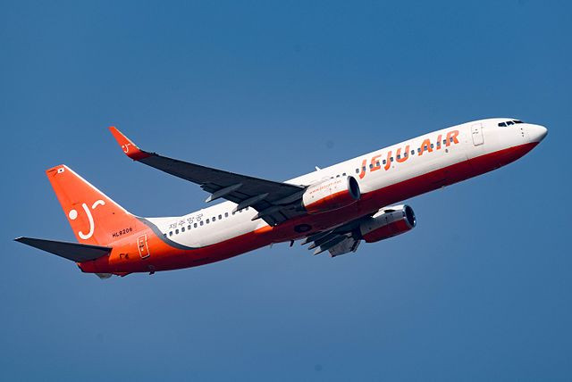 South Korea Probes Deadly Plane Crash That Killed 179, Questions Bird Strike Theory