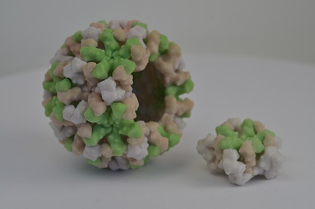 Norovirus Outbreaks Surge Nationwide, Cruise Ships and Foodborne Illnesses Drive Spike