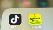 Lemon8 Gains Traction as TikTok Ban Looms, but Legal Uncertainty Clouds Future