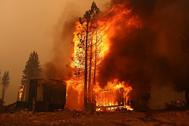 Hollywood Stars Blame Mayor Bass, Newsom for LA Wildfires as Homes Burn