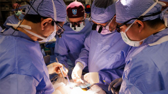 Breakthrough in Organ Transplants: U.S. Patient Receives Gene-Edited Pig Kidney in Landmark Surgery