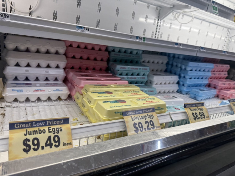 Egg Prices Soar to Record Highs as Bird Flu Wipes Out Millions of Chickens