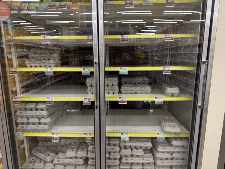 Egg Shortage Worsens: Costco, Trader Joe’s, and Kroger Restrict Sales as Prices Climb