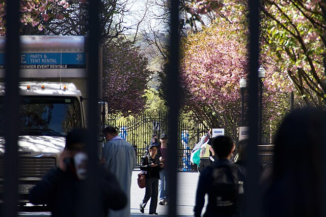 Federal Agents Arrest Second Columbia Student Over Pro-Palestinian Protests