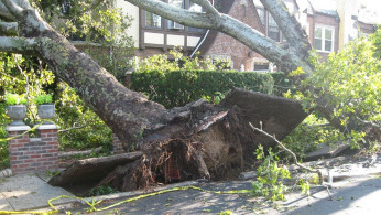 42 Dead, 90 Tornadoes Confirmed Across 13 States as Deadly Storms Devastate Midwest and South