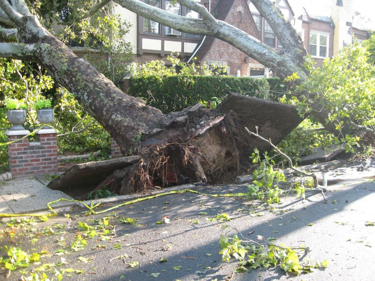 42 Dead, 90 Tornadoes Confirmed Across 13 States as Deadly Storms Devastate Midwest and South