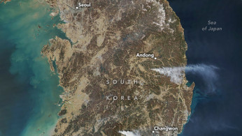 South Korea Wildfires Kill 24, Burn 43,000 Acres, and Force 27,000 to Evacuate as Historic Temple Lost