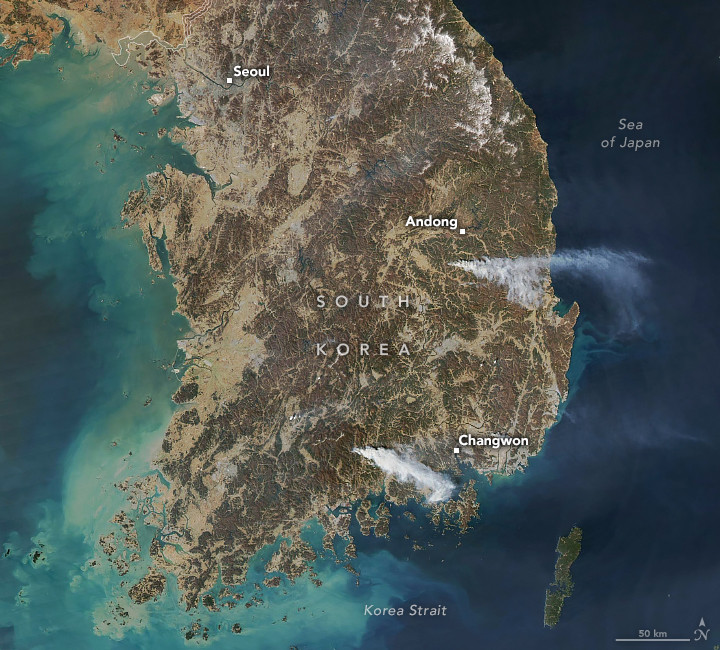 South Korea Wildfires Kill 24, Burn 43,000 Acres, and Force 27,000 to Evacuate as Historic Temple Lost