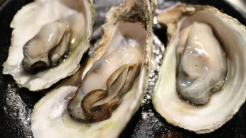 Contaminated Oysters Linked to Fatal Flesh-Eating Bacteria in Louisiana and Florida