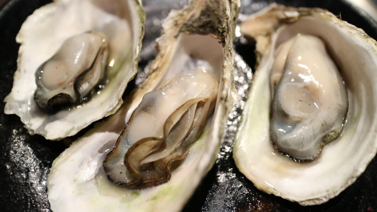 Contaminated Oysters Linked to Fatal Flesh-Eating Bacteria in Louisiana and Florida
