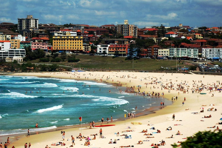 Bondi Beach Terror Attack: Police Response Faces Scrutiny After 20-Minute Rampage