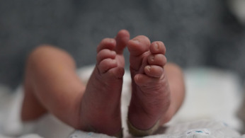 Lawmakers Question Witness Over Claims Aborted Baby Parts Were Implanted Into Lab Animals Via Fauci's NIAID Grants