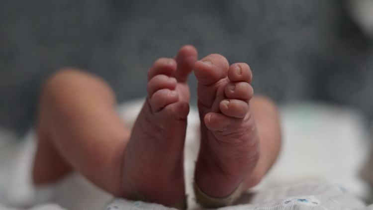 Lawmakers Question Witness Over Claims Aborted Baby Parts Were Implanted Into Lab Animals Via Fauci's NIAID Grants