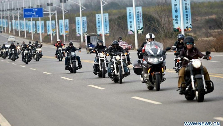 Hogs