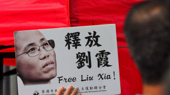 Liu Xia