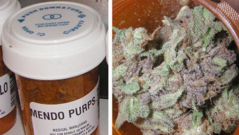 Medical Cannabis 