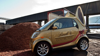 Bunny Car and Cocoa Shells 2